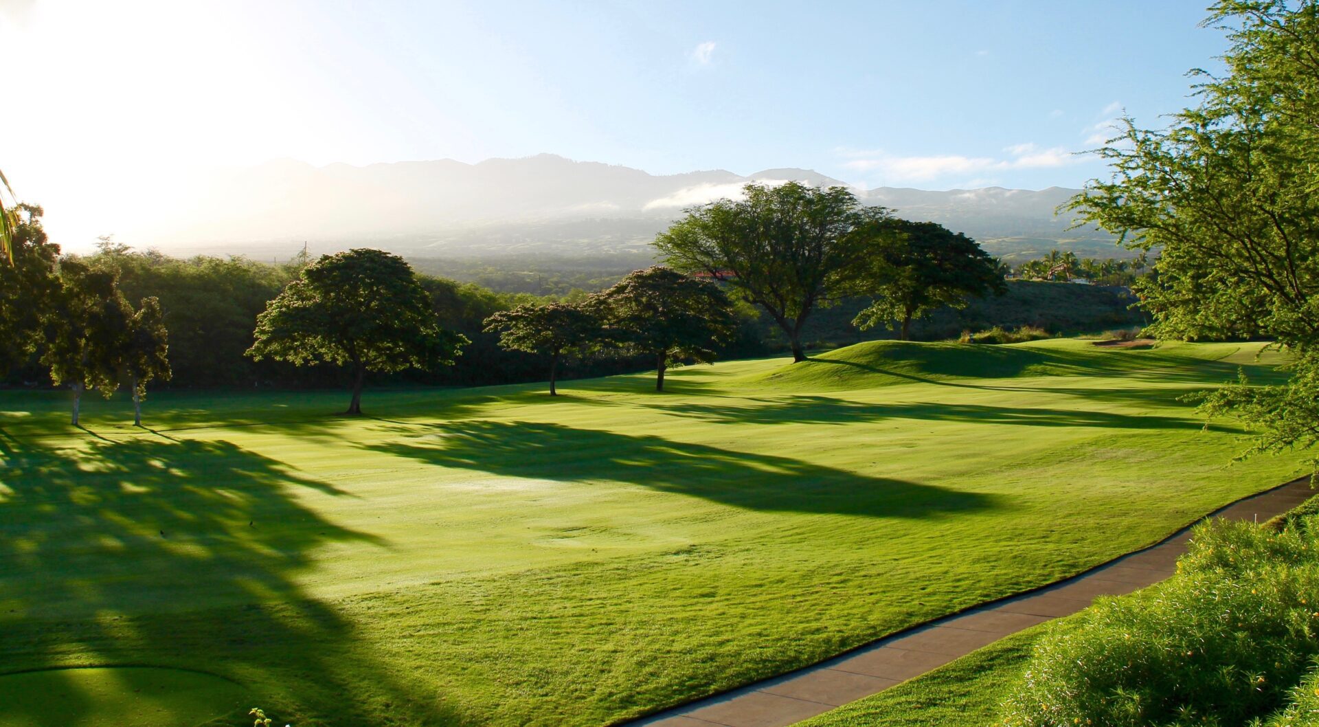 A view of a golf course with trees in the background.