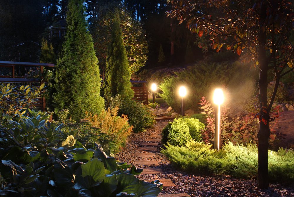 A path lit up with lights in the middle of a garden.