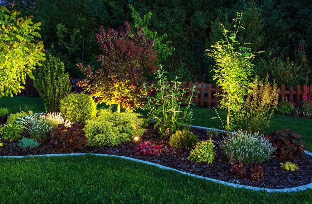 A garden with lots of plants and bushes.